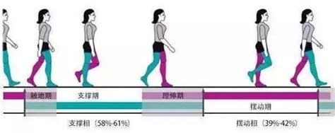 一步幾公分|學會「走路」，了解「步態」(一)